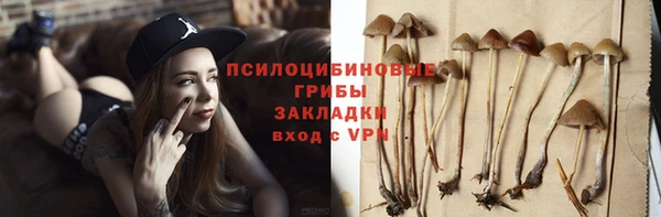 таблы Ельня