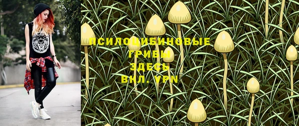 герыч Алексин