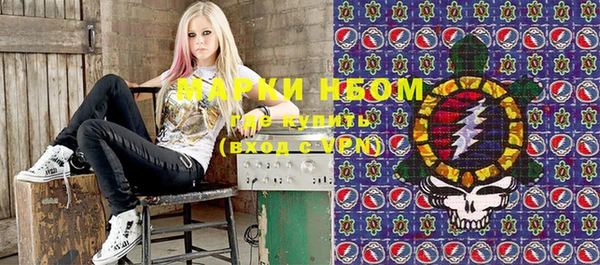 крисы Елабуга